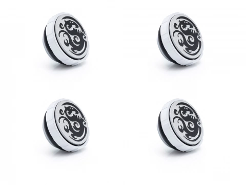 Magnetic Fitting